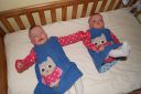 DSC03602.JPG