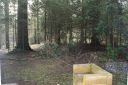 DSC03621.JPG
