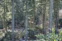DSC03636.JPG
