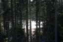 DSC03637.JPG
