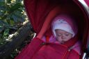 DSC03640.JPG