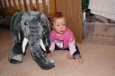 DSC04013.JPG