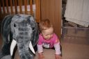 DSC04015.JPG