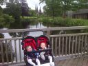 IMG-20130628-00088.jpg