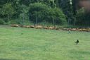 DSC04348.JPG