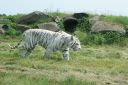 DSC04353.JPG