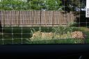 DSC04356.JPG