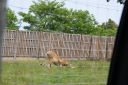 DSC04363.JPG