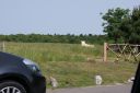 DSC04369.JPG