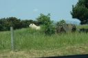 DSC04371.JPG