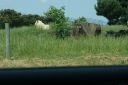 DSC04372.JPG