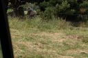 DSC04373.JPG