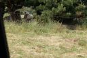 DSC04374.JPG