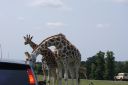 DSC04388.JPG