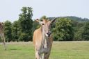 DSC04392.JPG