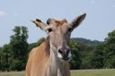 DSC04394.JPG