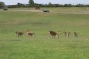 DSC04410.JPG