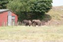 DSC04426.JPG