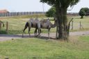 DSC04427.JPG