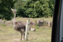 DSC04437.JPG