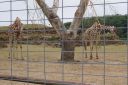 DSC04688.JPG