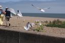 DSC04714.JPG