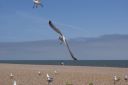DSC04718.JPG