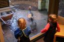 DSC05010.JPG