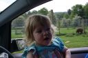DSC05130.JPG