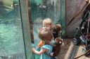 DSC05152.JPG