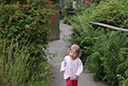 Filename=DSC05255.JPG
Filesize=798KiB
Dimensions=1046x700
Date added=Aug 08, 2024 DSC05255.JPG