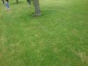 20140602_133538.jpg