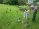 20140602_145043.jpg