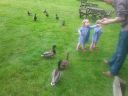 20140602_14505528029.jpg