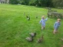 20140602_145100.jpg