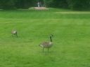 20140602_145148.jpg