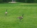 20140602_145152.jpg