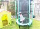 20140714_112218.jpg