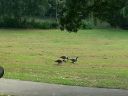 20140916_132654.jpg
