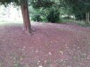 20140916_134421.jpg
