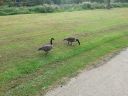 20140916_134659.jpg