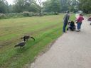 20140916_134703.jpg