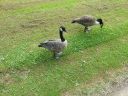 20140916_134712.jpg