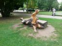 20140916_144029.jpg