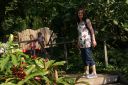 Filename=DSC06504.JPG
Filesize=852KiB
Dimensions=1046x700
Date added=Jul 19, 2024 DSC06504.JPG