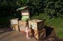 Filename=DSC06505.JPG
Filesize=878KiB
Dimensions=1046x700
Date added=Jul 19, 2024 DSC06505.JPG