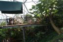 Filename=DSC06514.JPG
Filesize=857KiB
Dimensions=1046x700
Date added=Jul 19, 2024 DSC06514.JPG