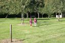 Filename=DSC06377.JPG
Filesize=1016KiB
Dimensions=1046x700
Date added=Jul 18, 2024 DSC06377.JPG