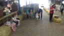 20170527_131547.jpg
