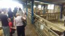 20170527_132038.jpg